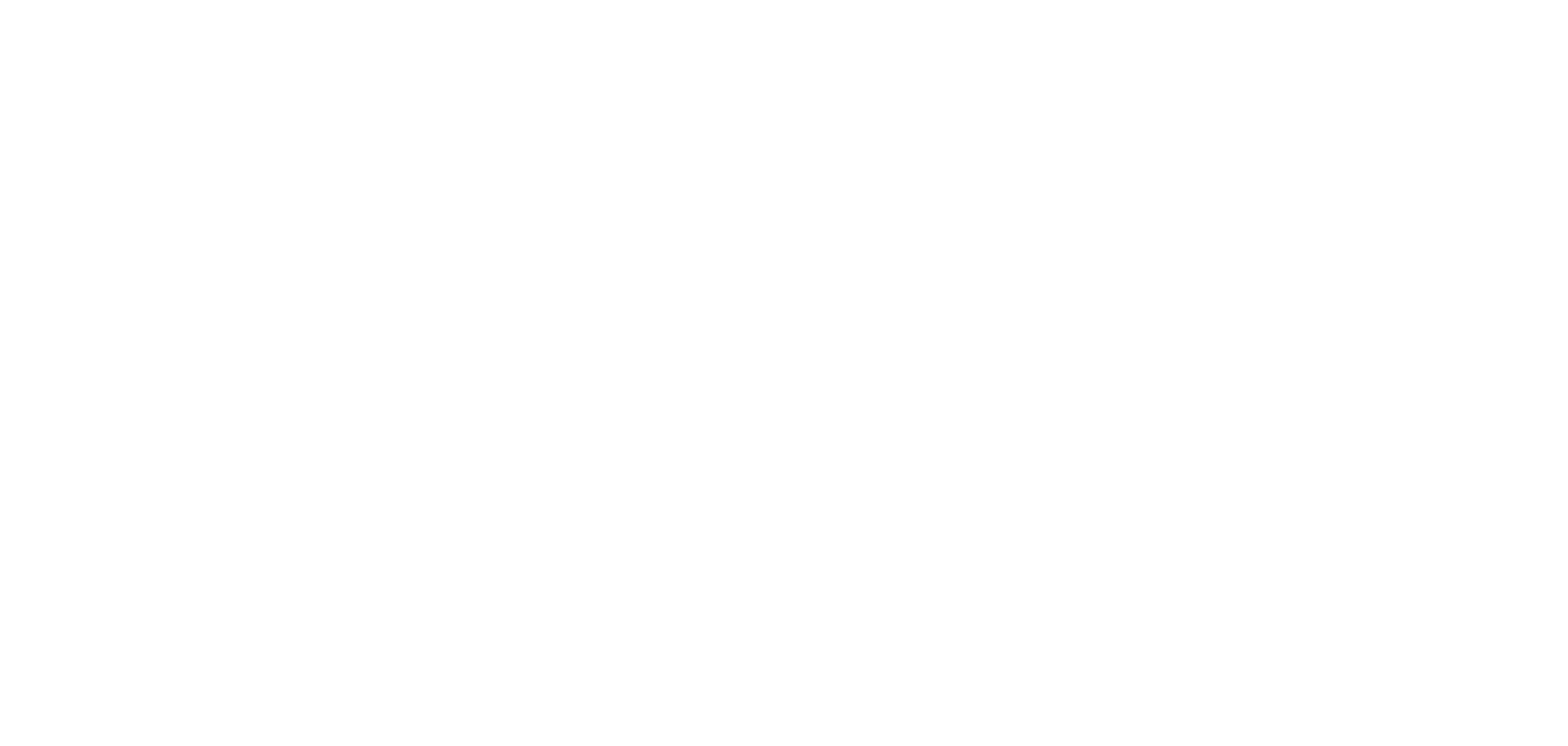 Sierra Nevada Sealcoating logo